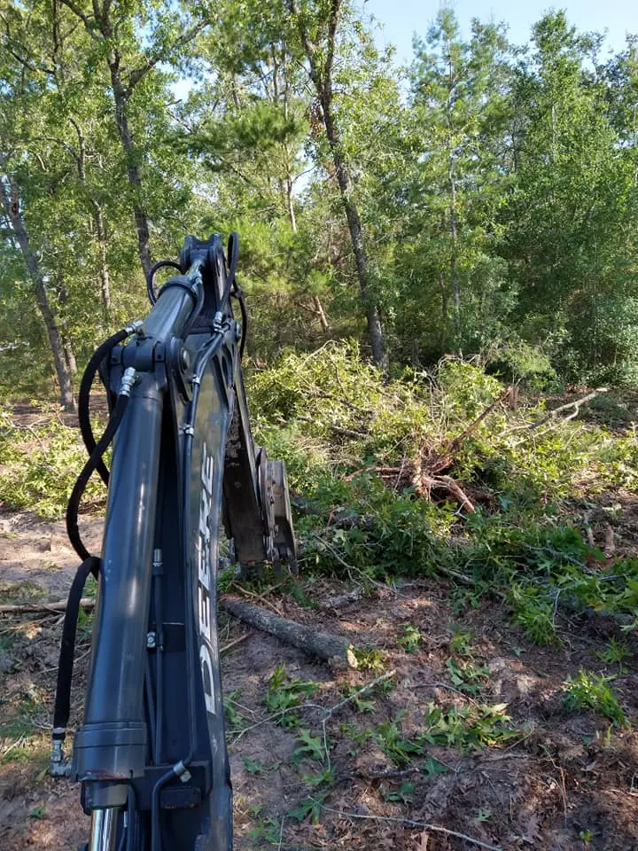 Tree Service